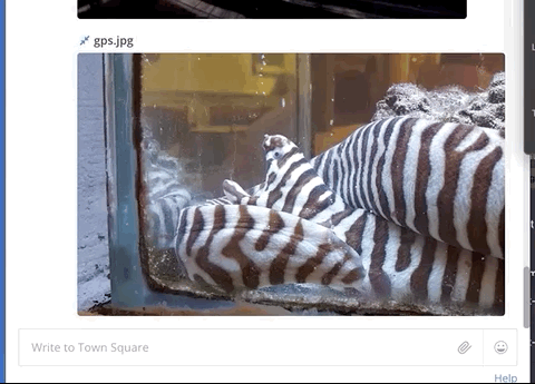 Jul-17-2019 08-49-58