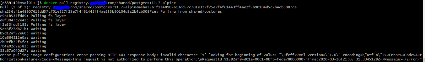 Not able to pull image from docker registry(own docker registry ...