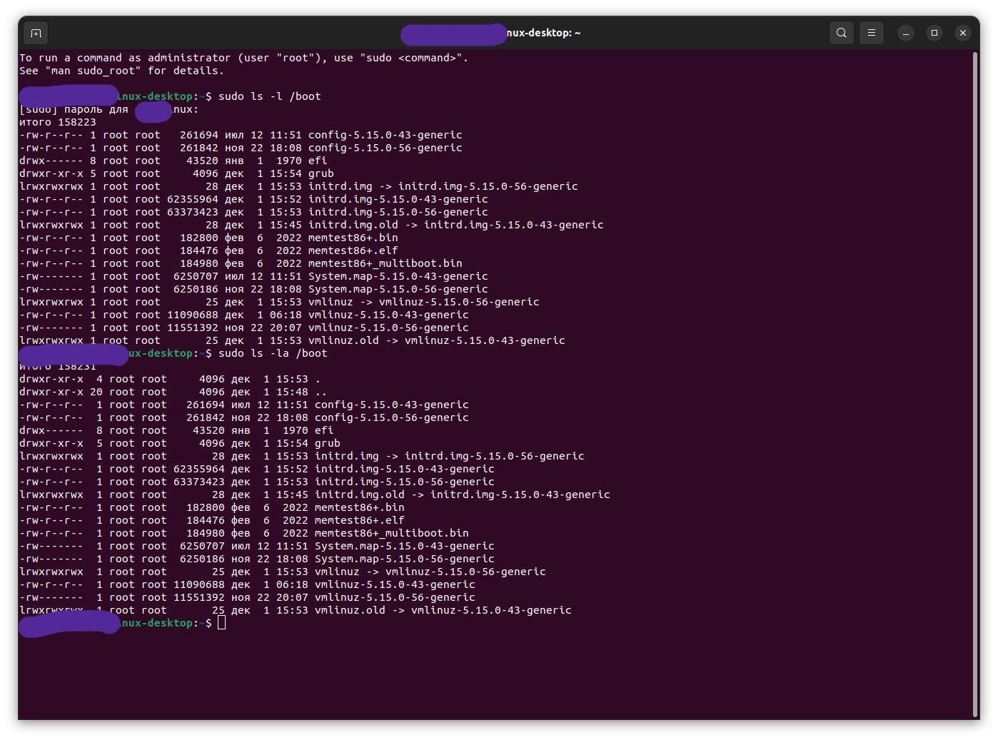 Opencore show 2 identical Ubuntu volumes and kernel panic in custom