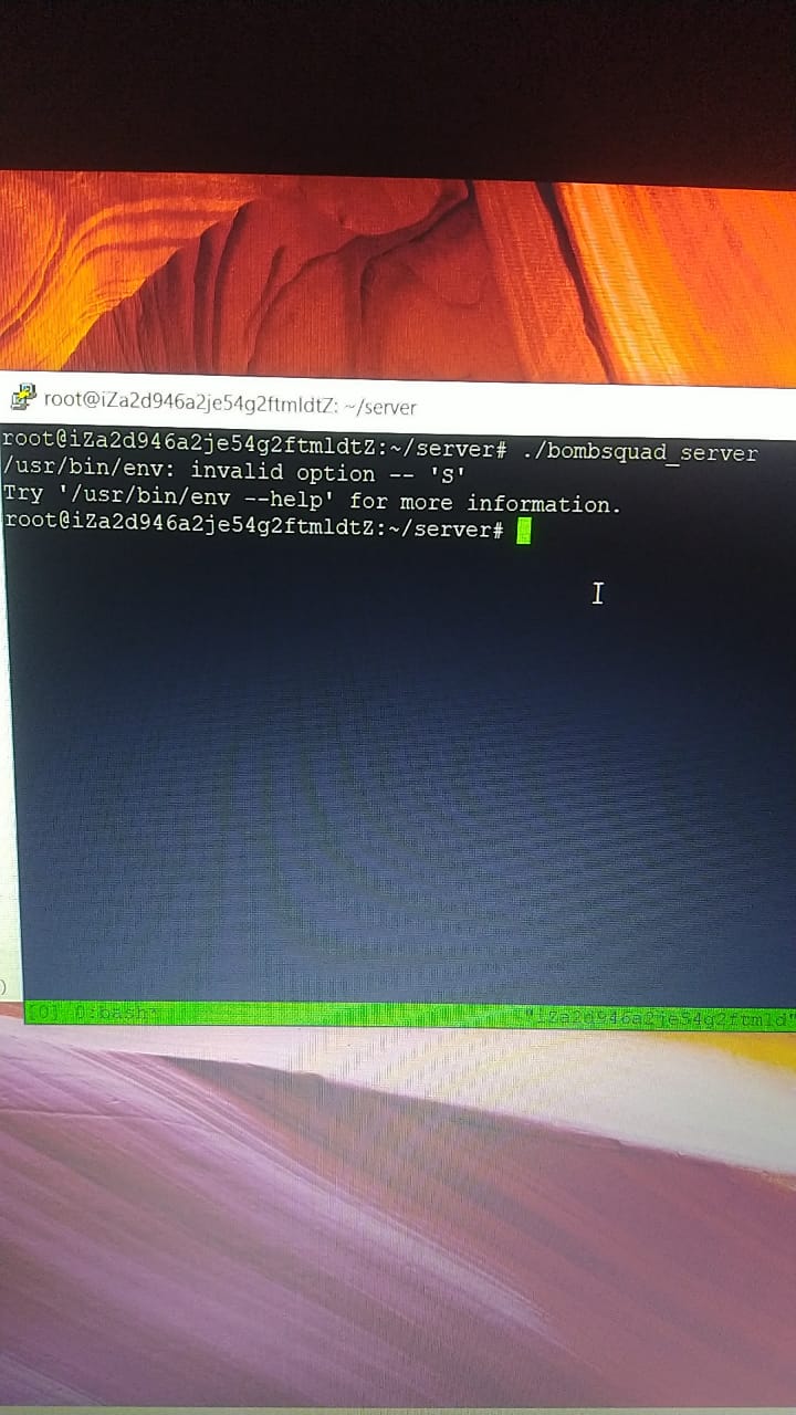 Server builds not starting · Issue #154 · efroemling/ballistica · GitHub