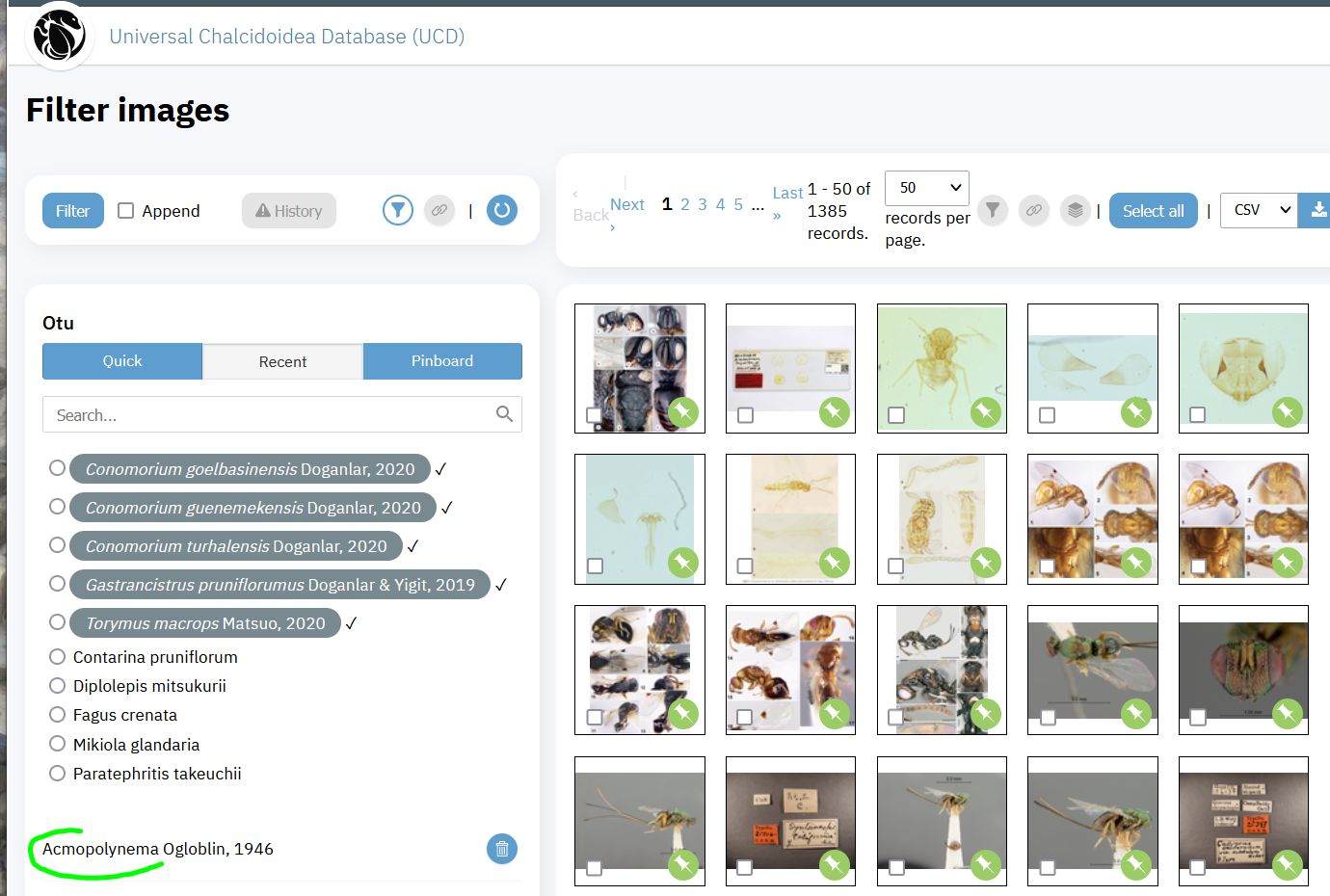 [Bug] Filter Images with (without) Depiction option produces false