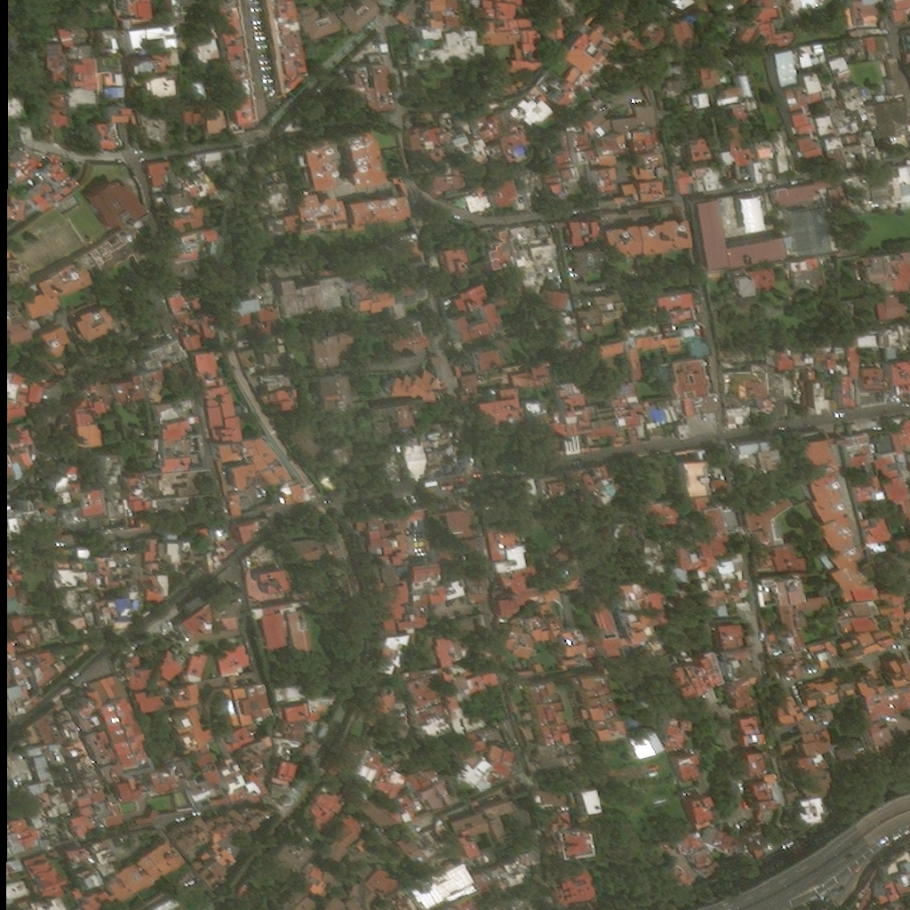 mexico-earthquake_00000000_post_disaster