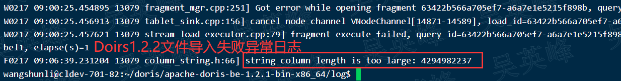 [Bug] 1.2.2 本地文件导入BE崩溃 · Issue #16849 · apache/doris · GitHub