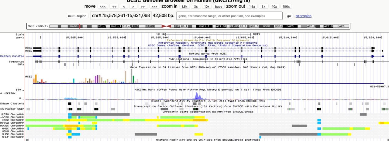 GitHub - Stuksus/hse_hw3_chromhmm