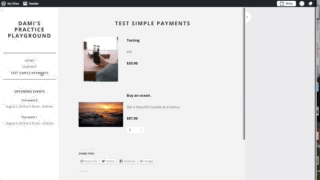 simple_payments_error