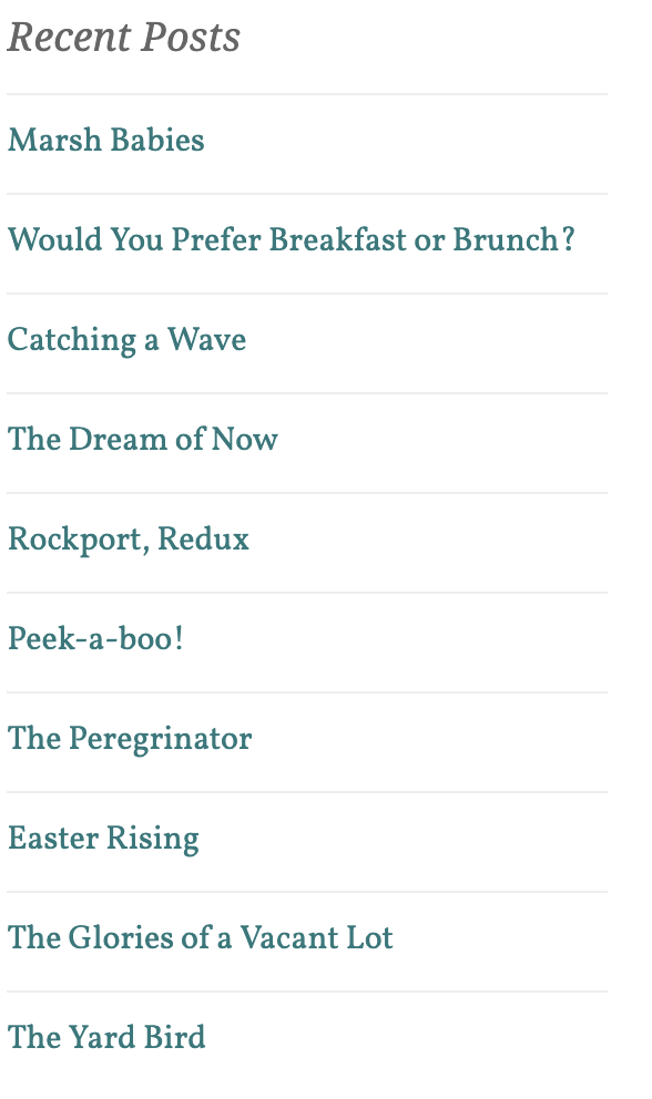 Screen Shot 2019-05-18 at 8 29 29 AM