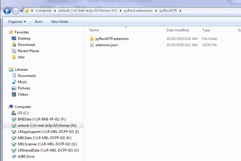 4.6 beta - Custom extension doesn't load · Issue #383 · pyrevitlabs ...