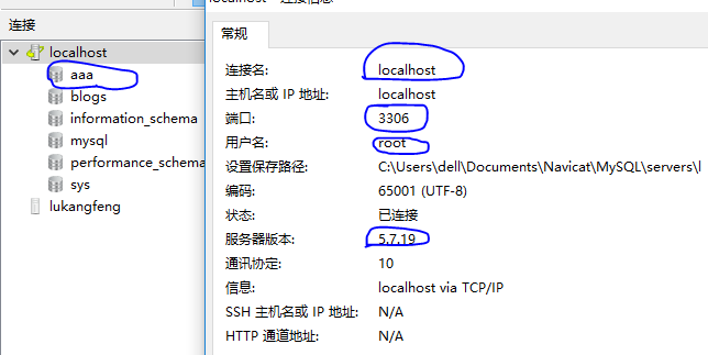 is not allowed to connect to this MySQL server · Issue #99 · Tencent ...