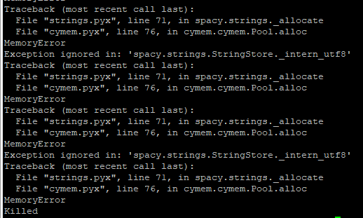 Memory error sslv2 NER + Textcat vecteurs100000