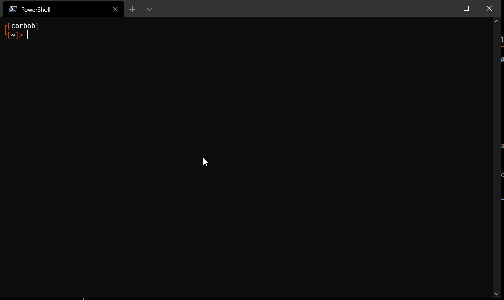 terminalissue