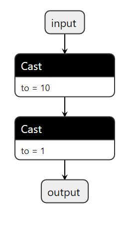 Cast Bug · Issue #8787 · microsoft/onnxruntime · GitHub
