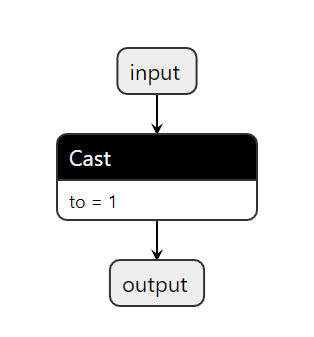 Cast Bug · Issue #8787 · microsoft/onnxruntime · GitHub