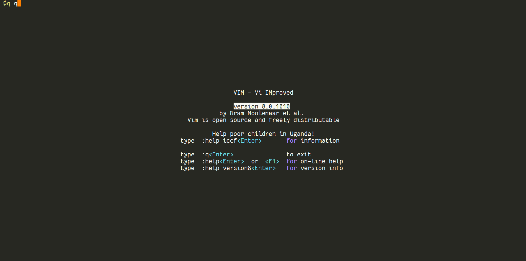 After Installation Of Vim Version 8 0 1010 The Vim window Opened With 