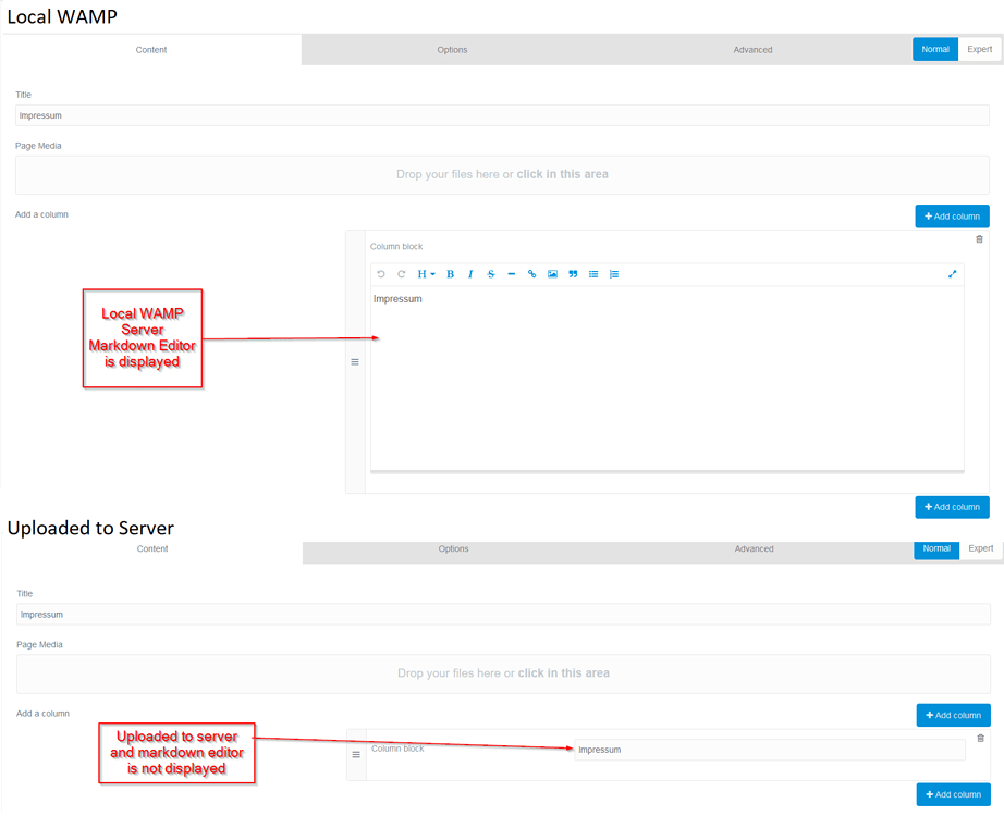 Blueprint markdown editor is not displayed on server but locally ...