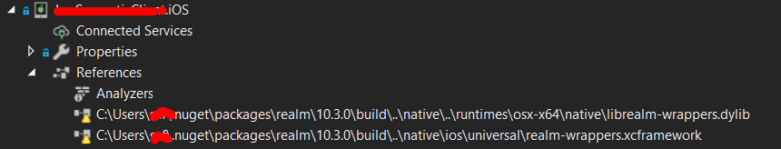 [Bug]: Invalid references · Issue #2526 · realm/realm-dotnet · GitHub