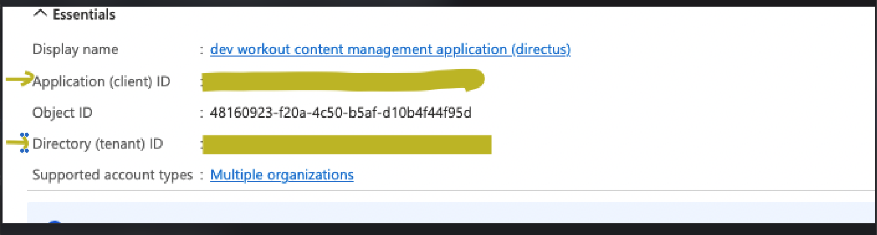 Microsoft Azure Identity provider SSO Integration with Directus not ...