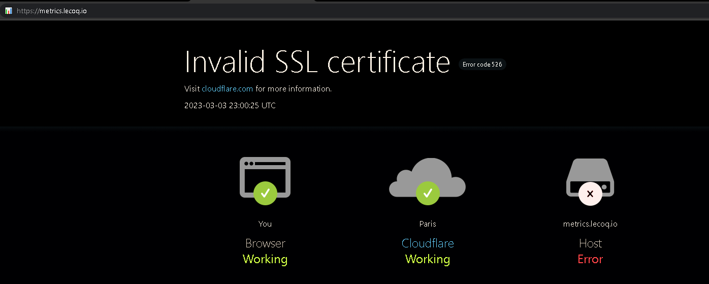 Invalid SSL certificate · Issue #1392 · lowlighter/metrics · GitHub