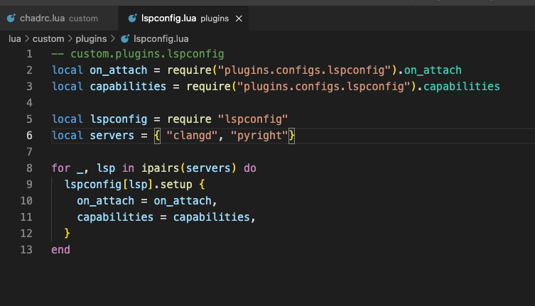 How to get LSP to work? · NvChad NvChad · Discussion #1514 · GitHub