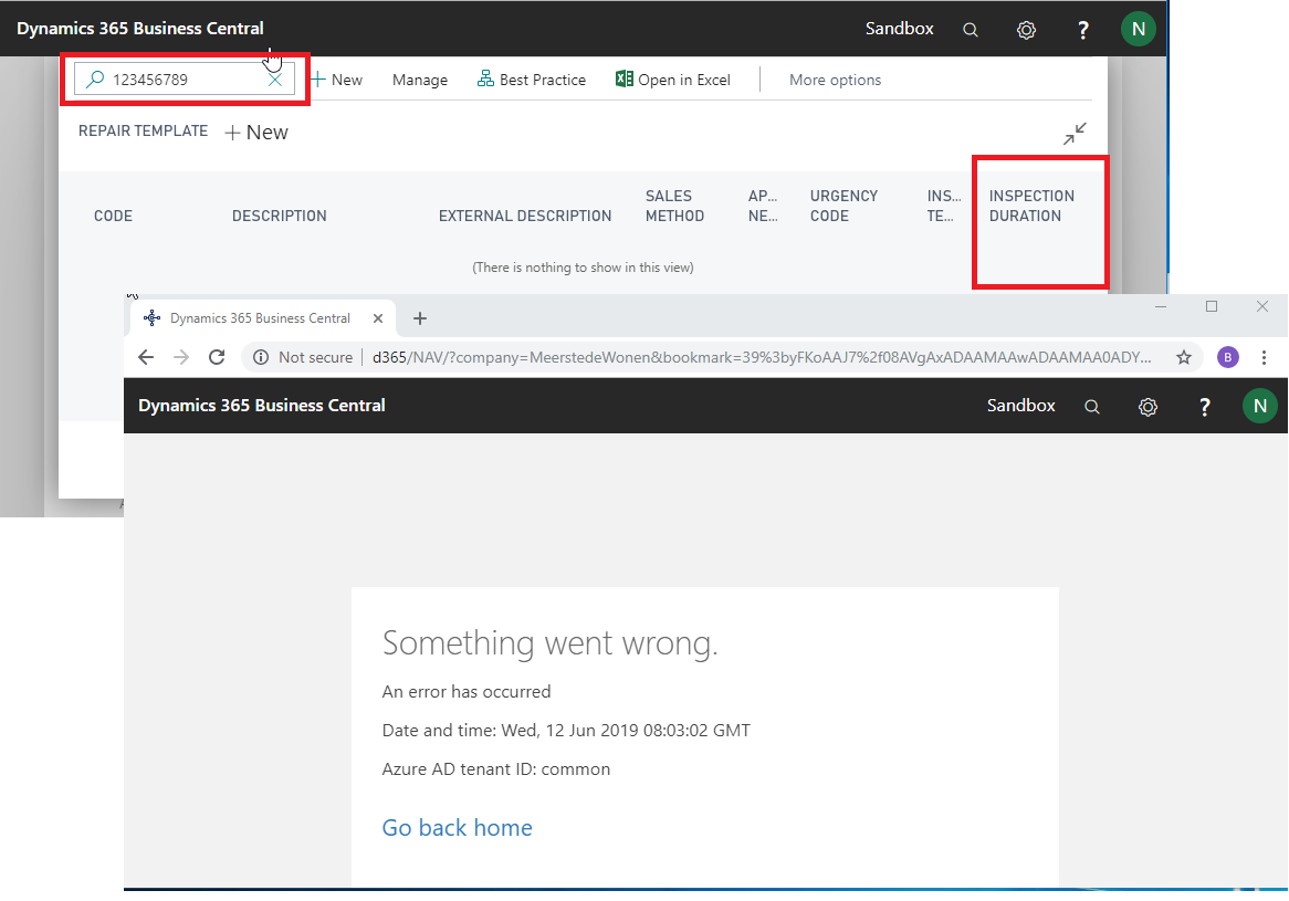 Business Central and Nav 2017 CU 29  client bug the application
