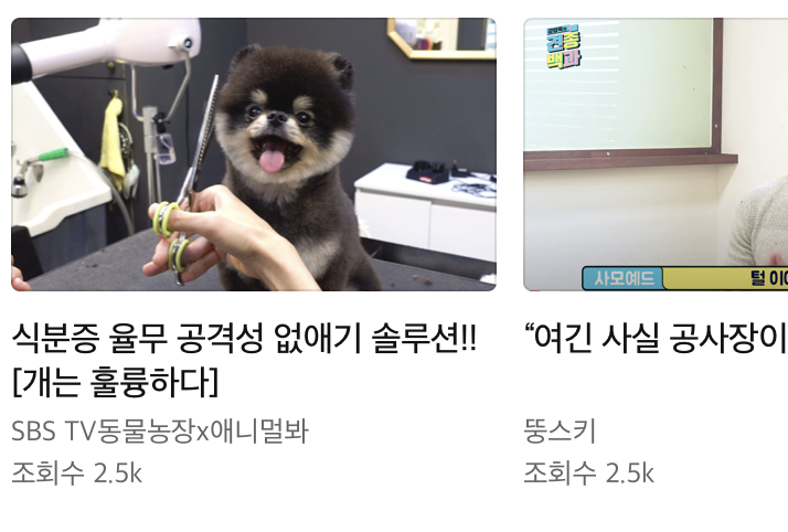 스크린샷 2020-06-28 오후 1 05 50