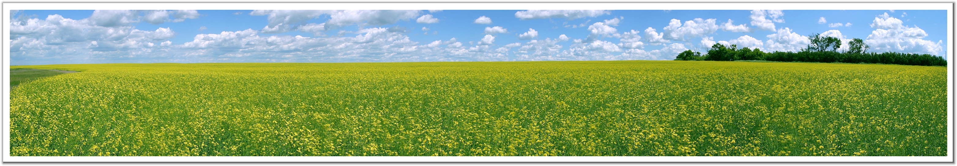 1354219203-0535599-www nevsepic com ua