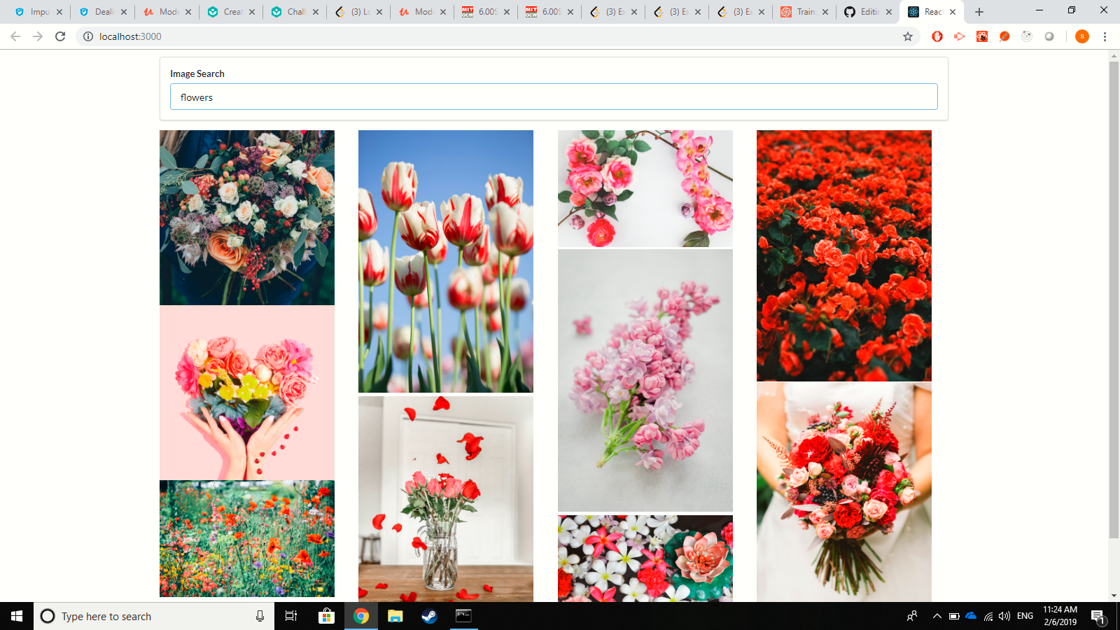 GitHub - shirleymramirez/pics: simple app using react to show basic ...