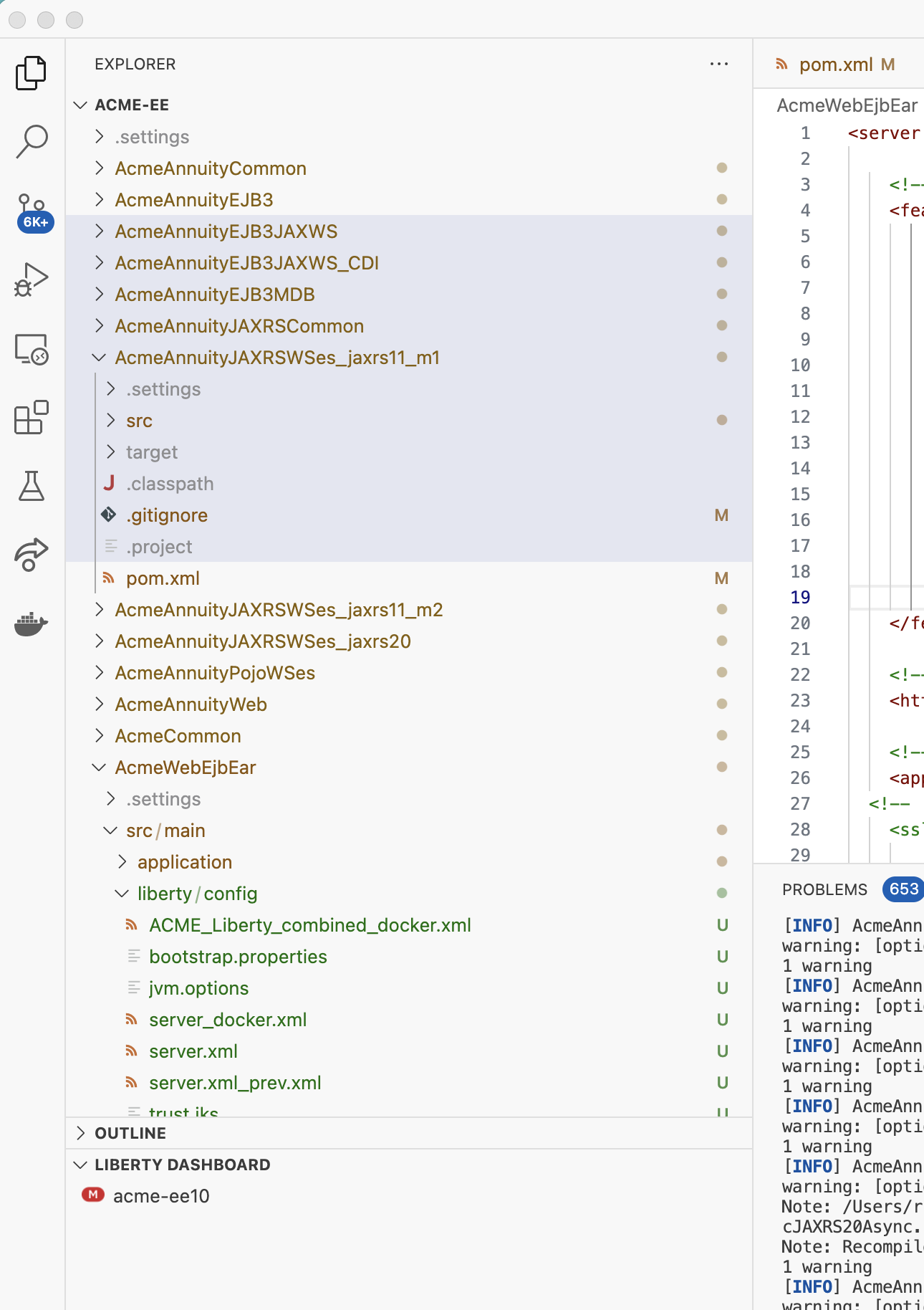 SVT:Cannot start one of the projects in Acme in the Liberty Dashboard ...