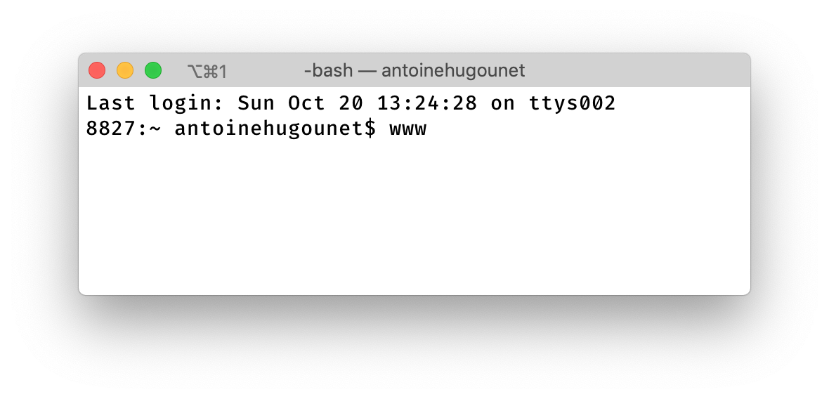 [bug] www ligature not rendering in iTerm 3.3.6 · Issue 870 · tonsky