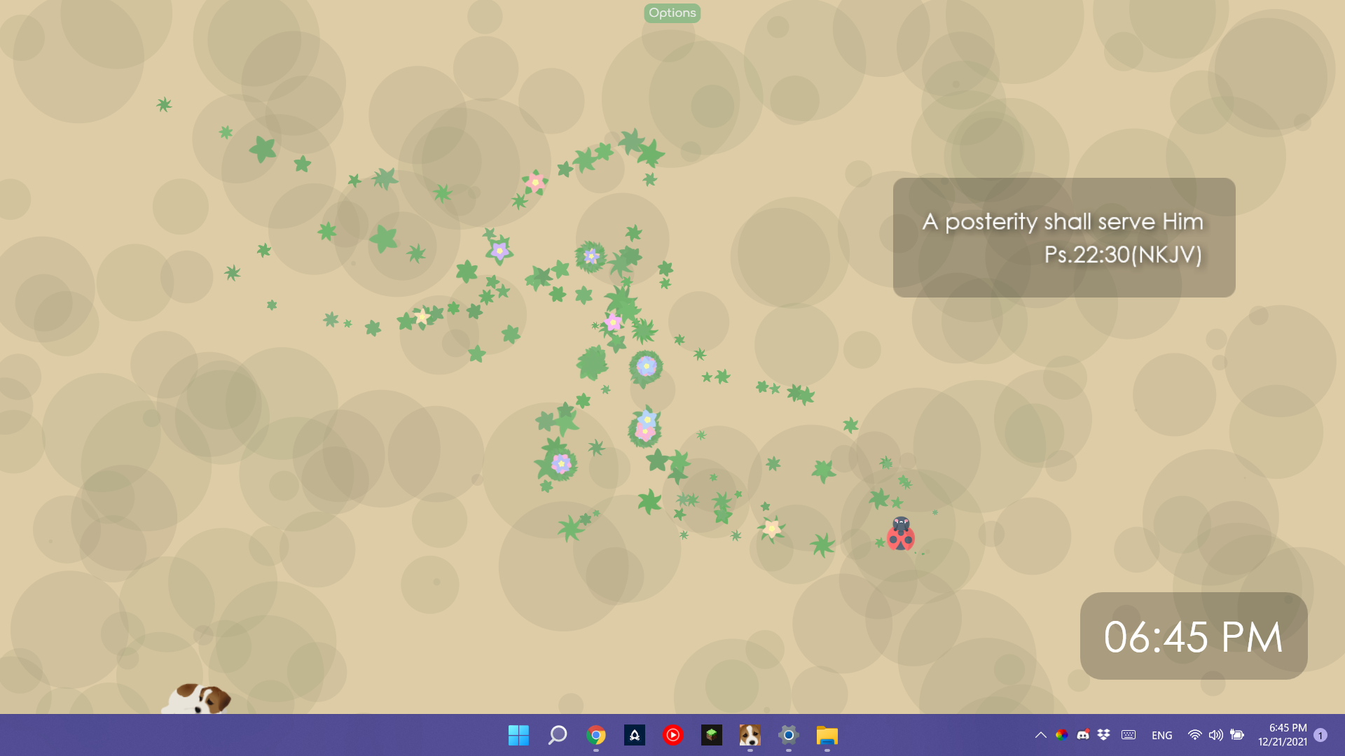 Desktop Icons Disappearing Permanently Rocksdanister lively