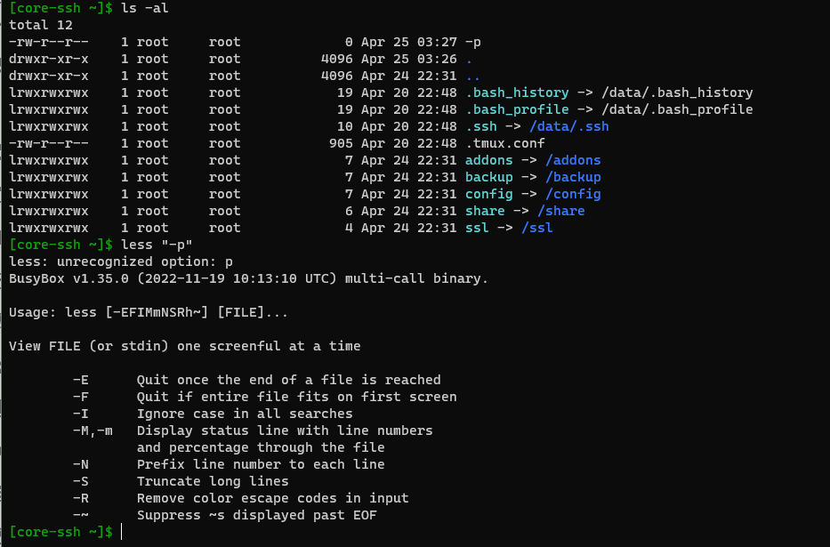 file-called-p-created-in-root-issue-4260-home-assistant