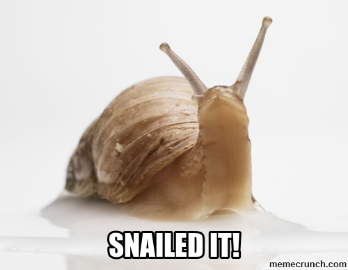 snailedit