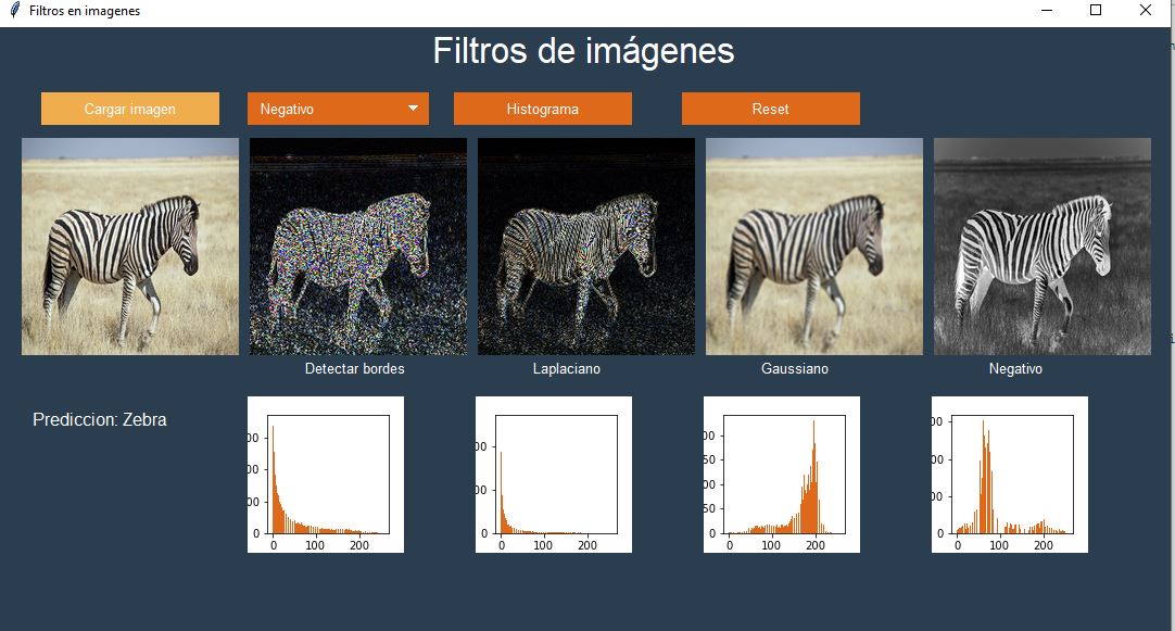 GitHub - FerGlez230/BasicNeuralNetworkAndImageFilters: This project ...