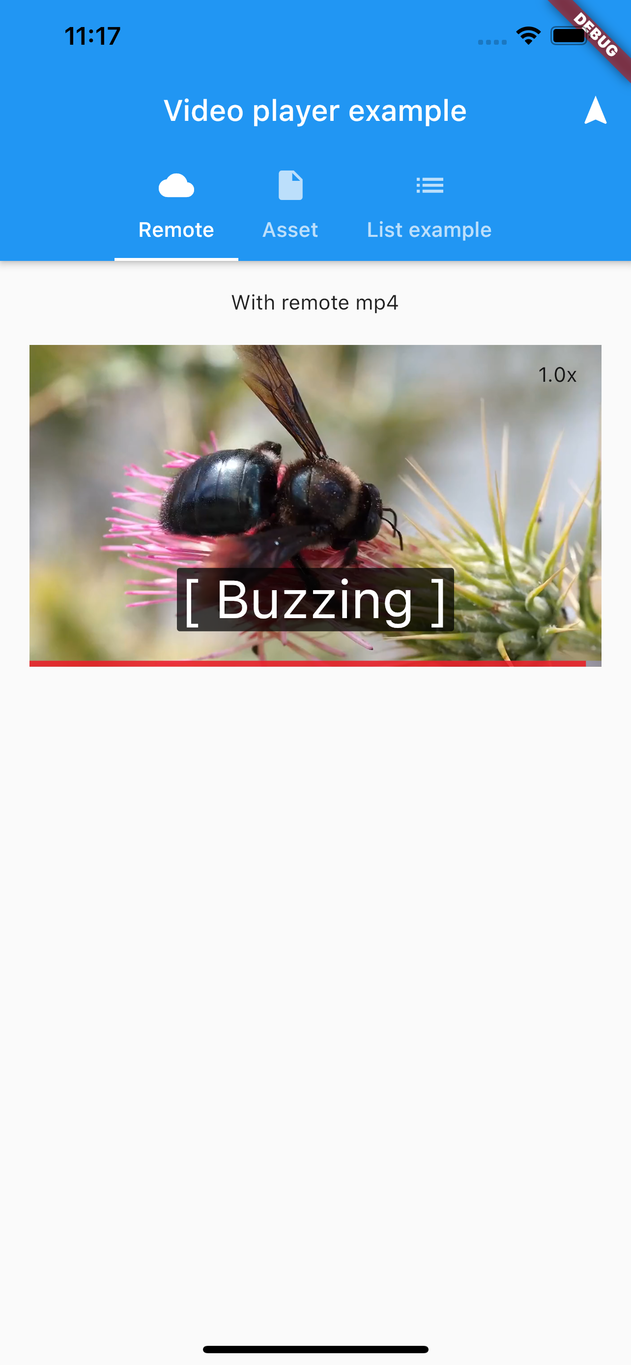 [video_player] Example implementation not working on iOS devices