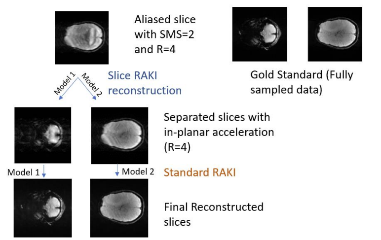 GitHub - docmab23/Constrained-Training-of-CNNs-for-Multi-band-MRI