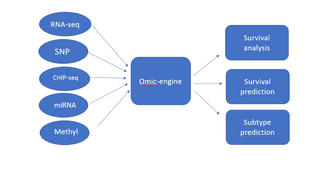 GitHub - docmab23/Multi-omics-inetgration-Brain-Glioma-HCC- · GitHub