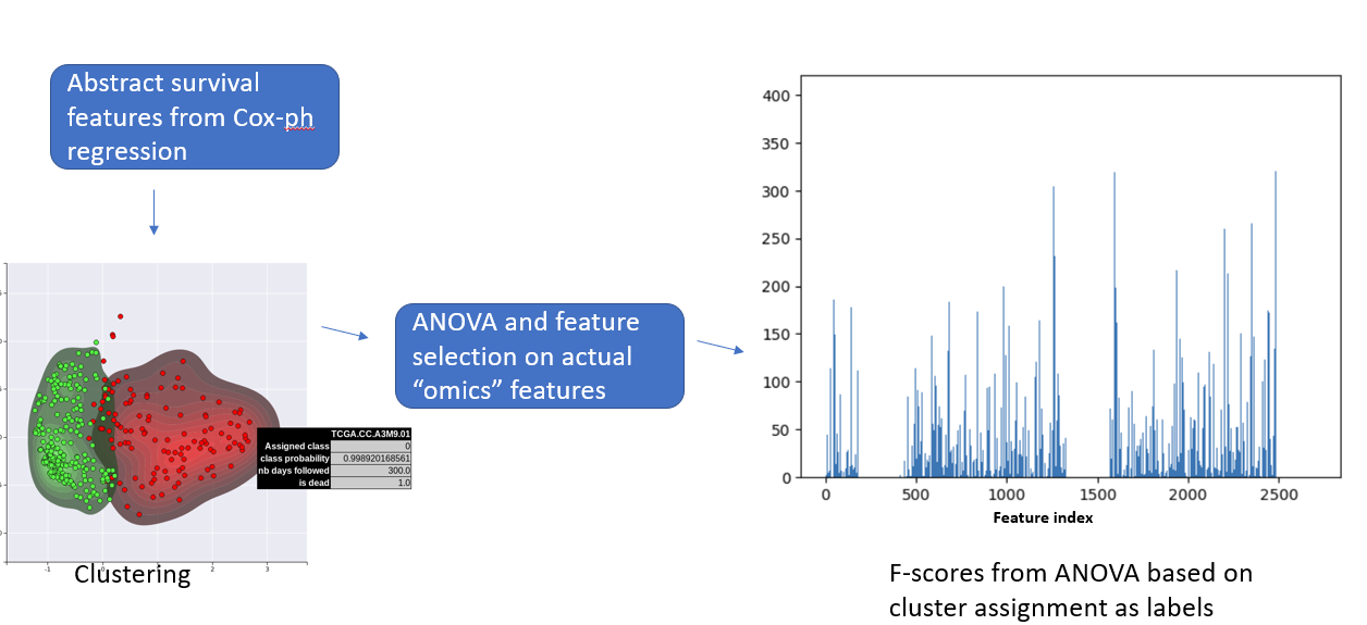 GitHub - docmab23/Multi-omics-inetgration-Brain-Glioma-HCC-