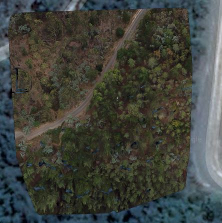 orthophoto