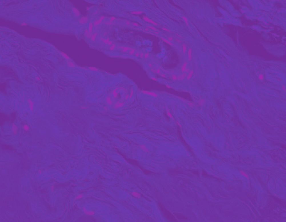 IMAGE 2020-09-11 11:27:05