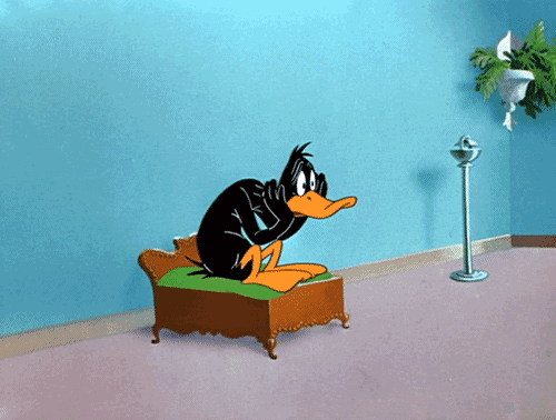 duc
