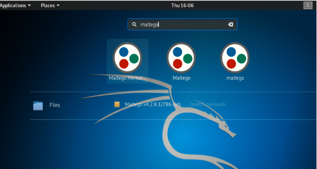 GitHub - RADGASM/radgasm_maltego: OSINT Fun - Using Maltego