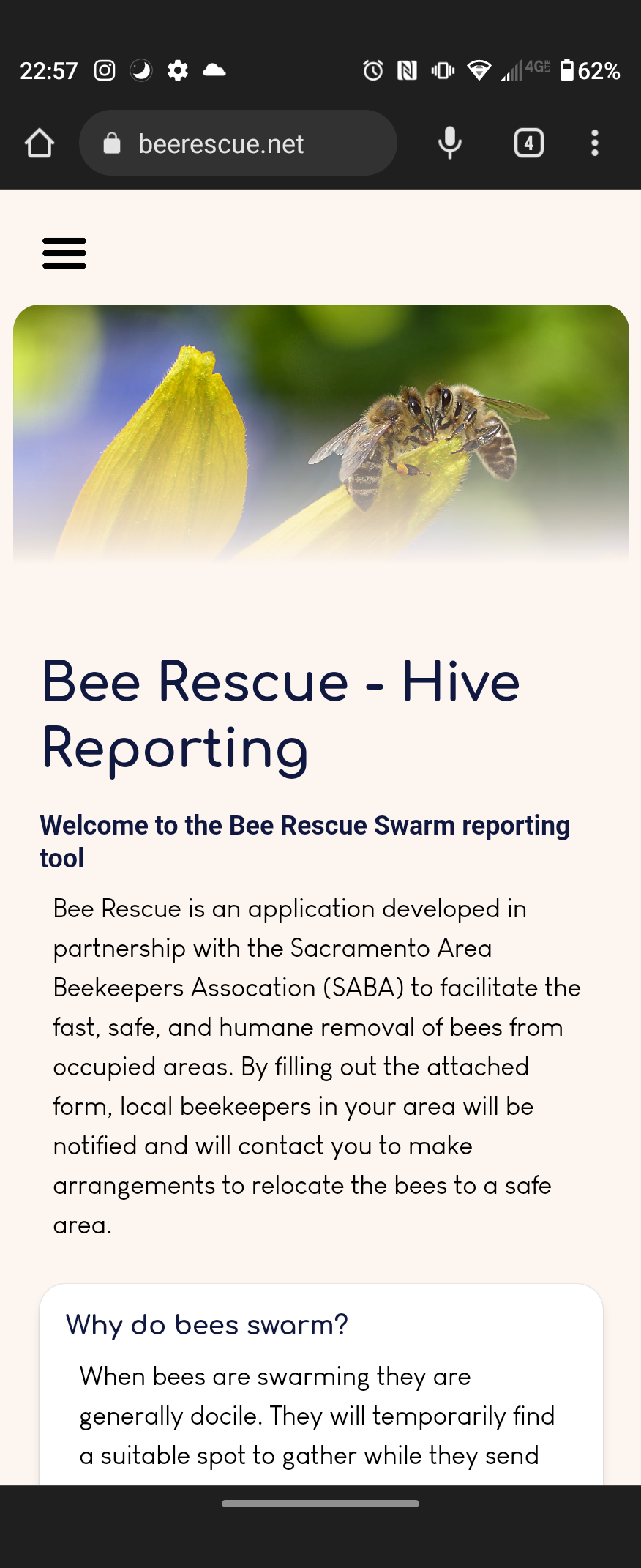 GitHub - HornetsHive/Bee-Rescue