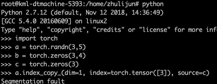 Senmentation falut · Issue #23774 · pytorch/pytorch · GitHub