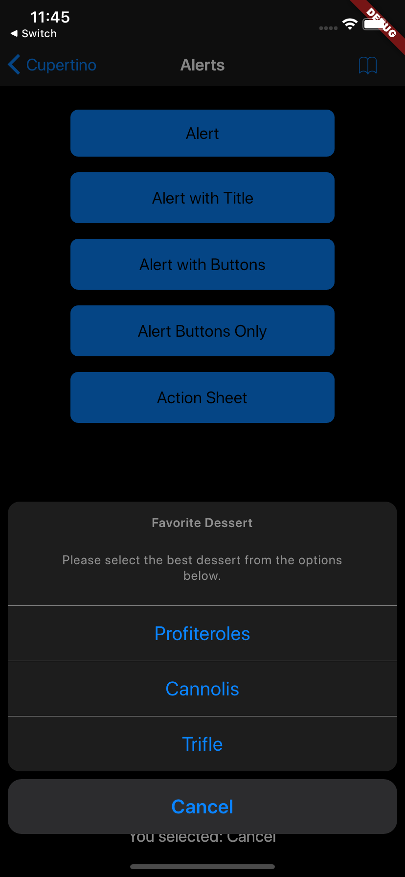 Simulator Screen Shot - iPhone 11 - 2019-10-30 at 11 45 44