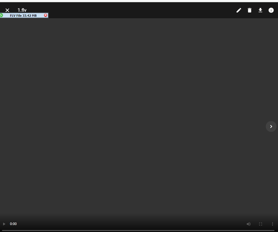 flv video · Issue #1543 · filebrowser/filebrowser · GitHub