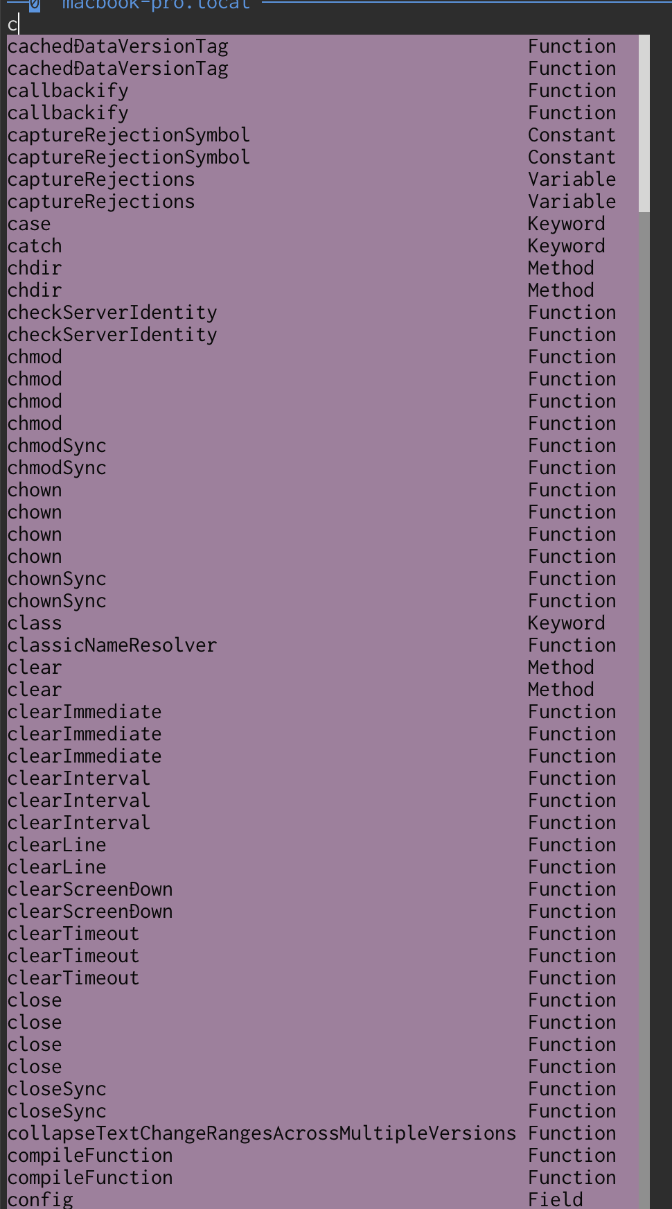 Duplicate items are included in the completion candidates. · Issue #303 ...