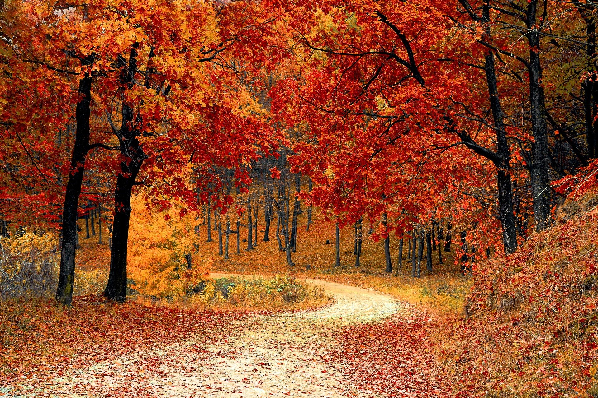 road-g29d987485_1920