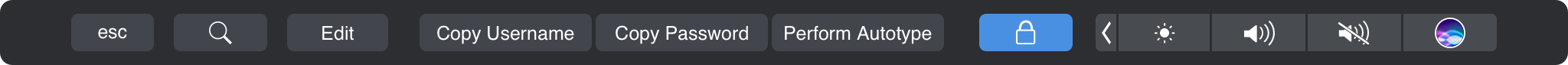 unlocked-entry-selected