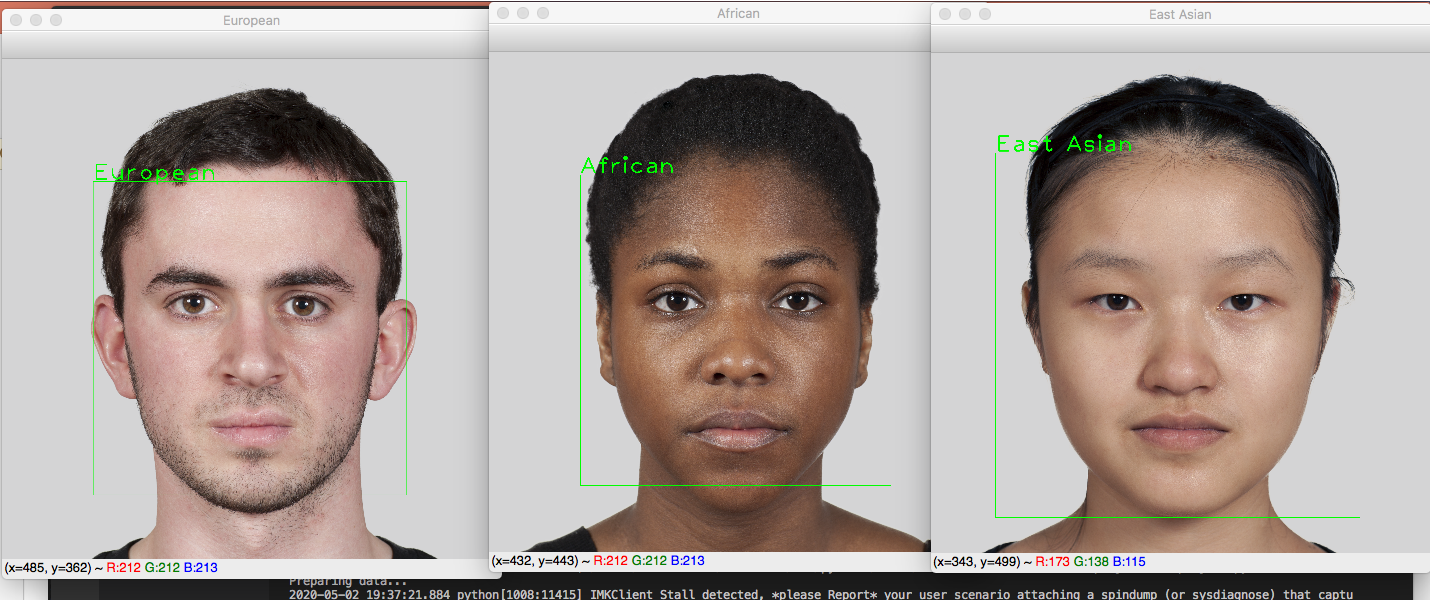 GitHub - faniadev/race-identification-python: Race Identification using ...