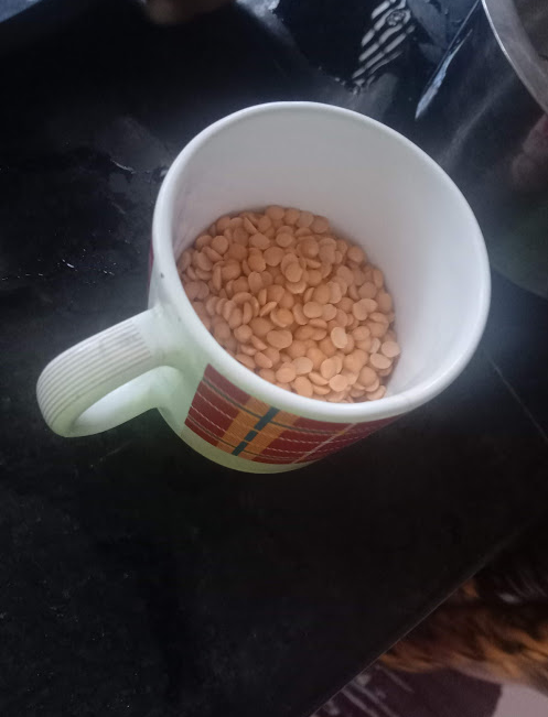 hal cup dal.jpg