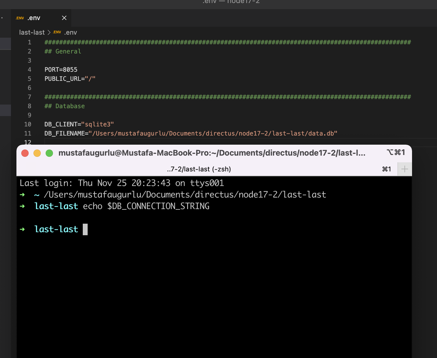 I can't run it with sqlite · Issue #10022 · directus/directus · GitHub